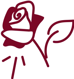 Website logo for display